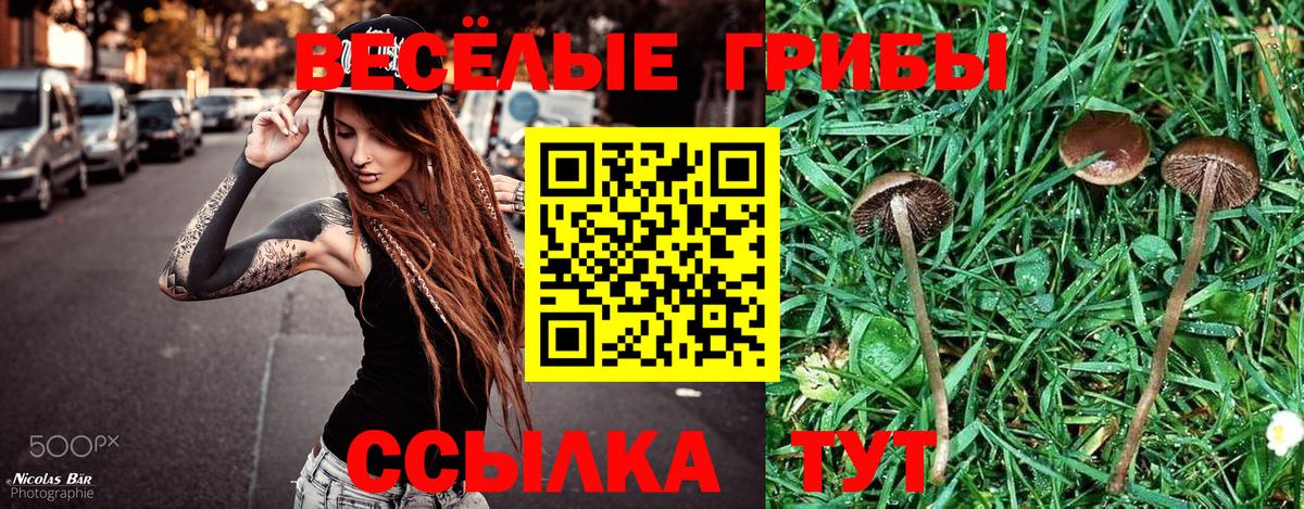 Красноармейск  Псилоцибиновые грибы ЛСД  наркота  Вход с VPN 